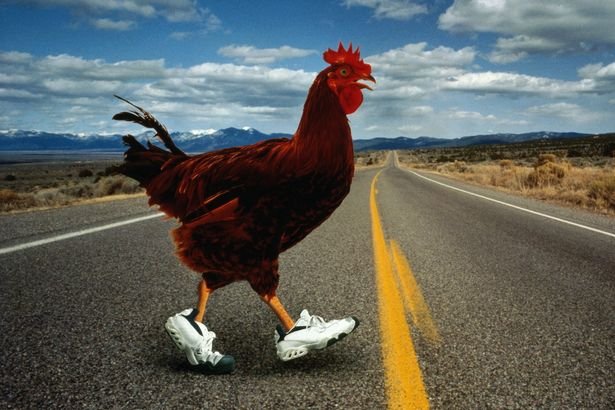 France - chicken road France - chicken road